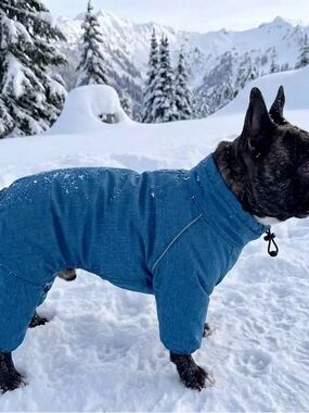 Ricki's High Performance. Blue Insulated Dog Snow/Track Suit - Size S